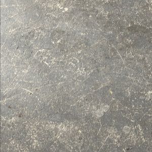 Meet your Posher, Edith